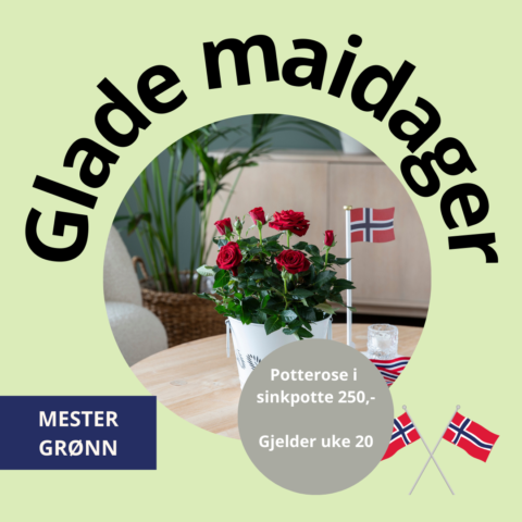 2025_Maidager(3)