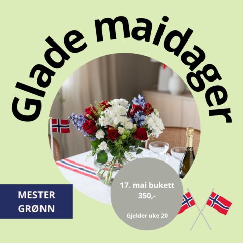 2025_Maidager(7)